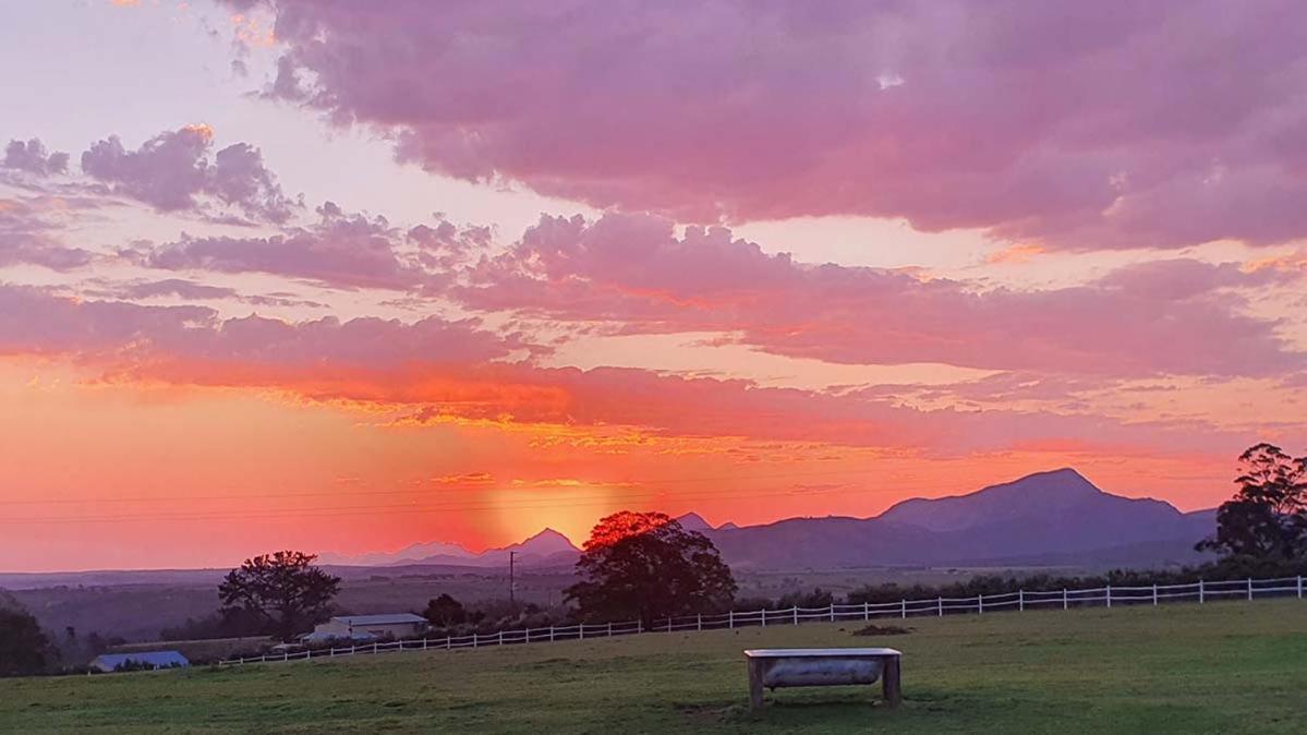 Outeniqua Moon Percheron Stud Farm Ruiterbos 外观 照片
