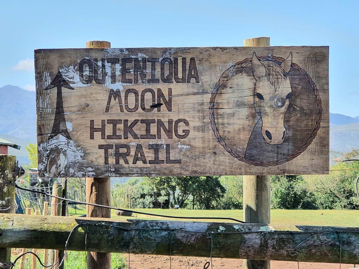 Outeniqua Moon Percheron Stud Farm Ruiterbos 外观 照片