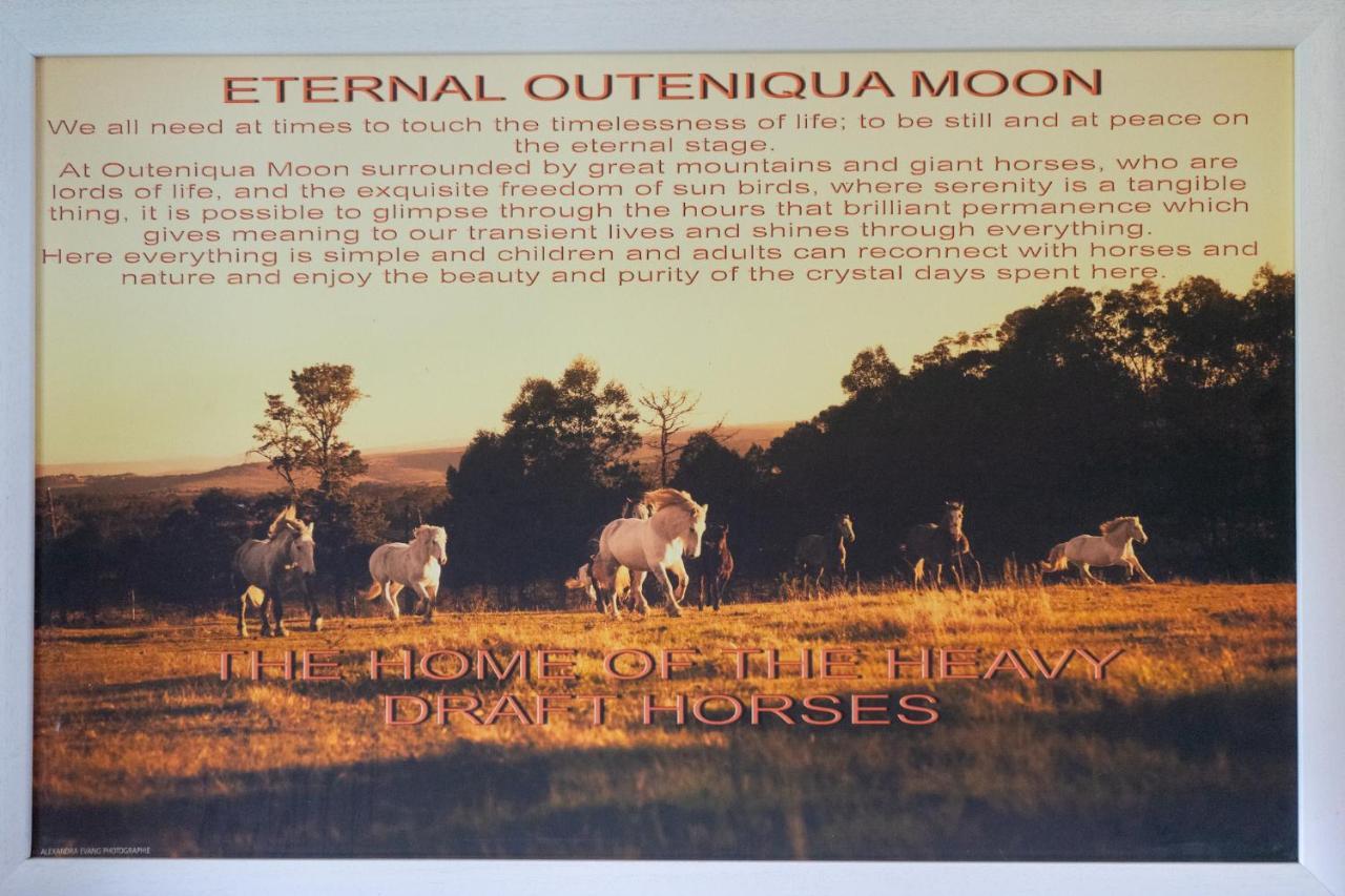 Outeniqua Moon Percheron Stud Farm Ruiterbos 外观 照片