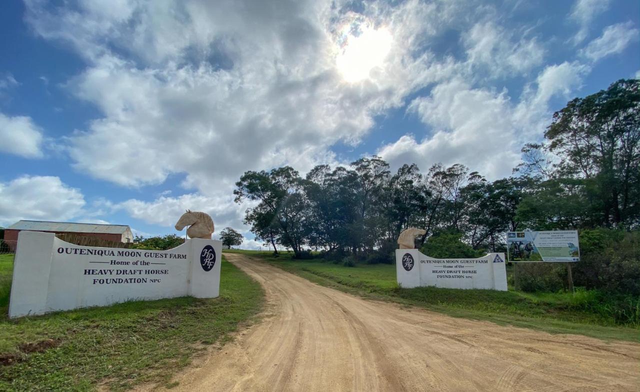 Outeniqua Moon Percheron Stud Farm Ruiterbos 外观 照片