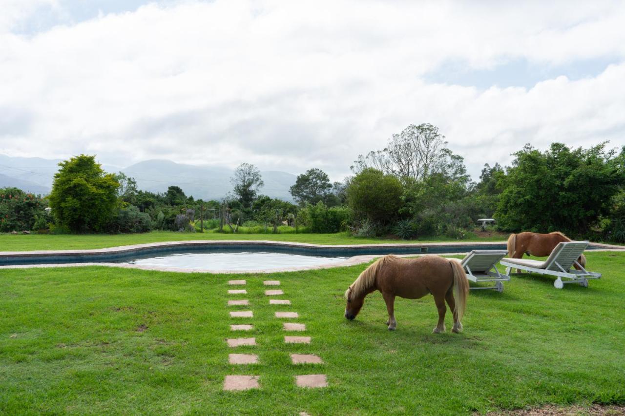 Outeniqua Moon Percheron Stud Farm Ruiterbos 外观 照片